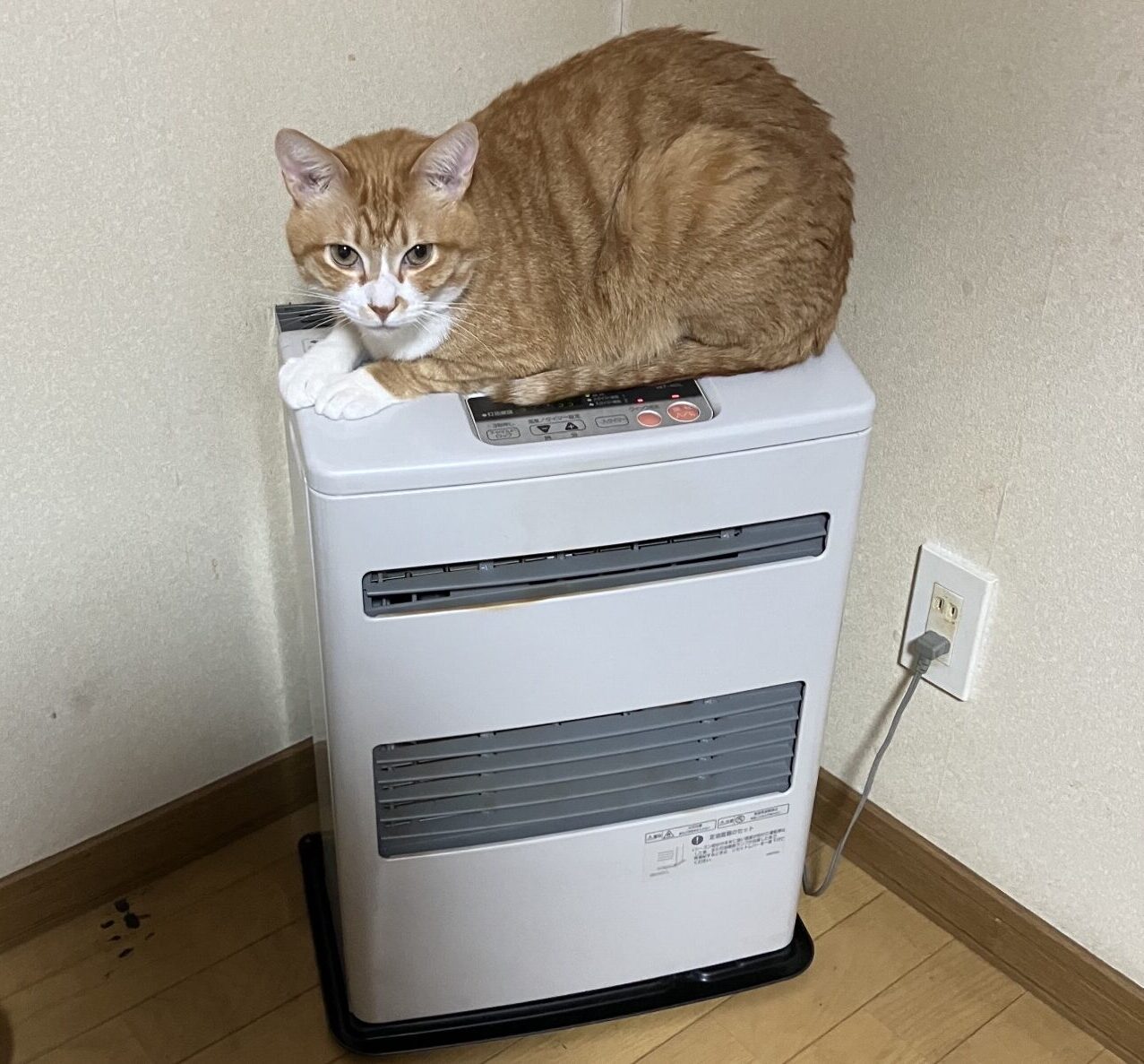 今年を振り返って