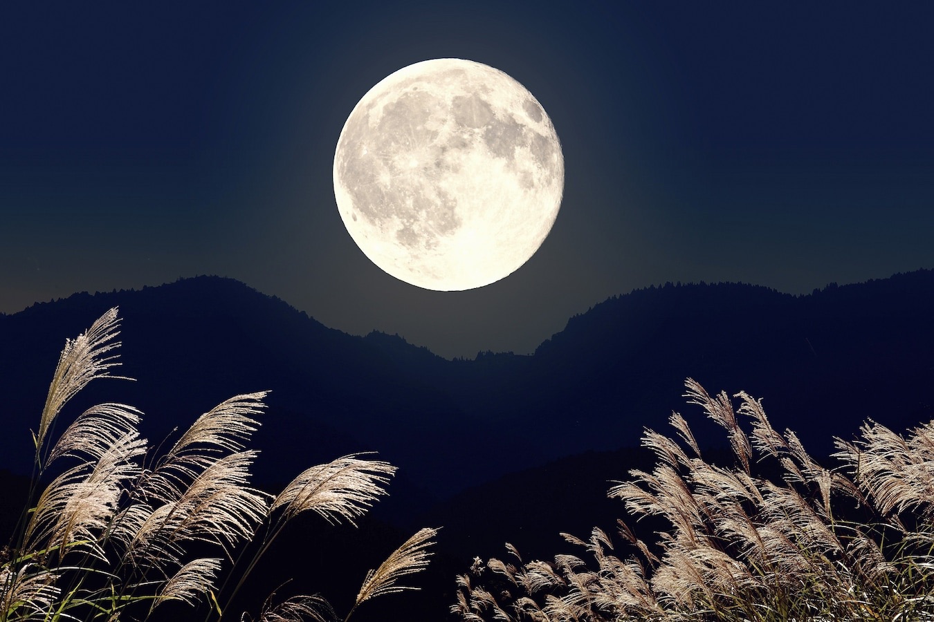 秋と夜月